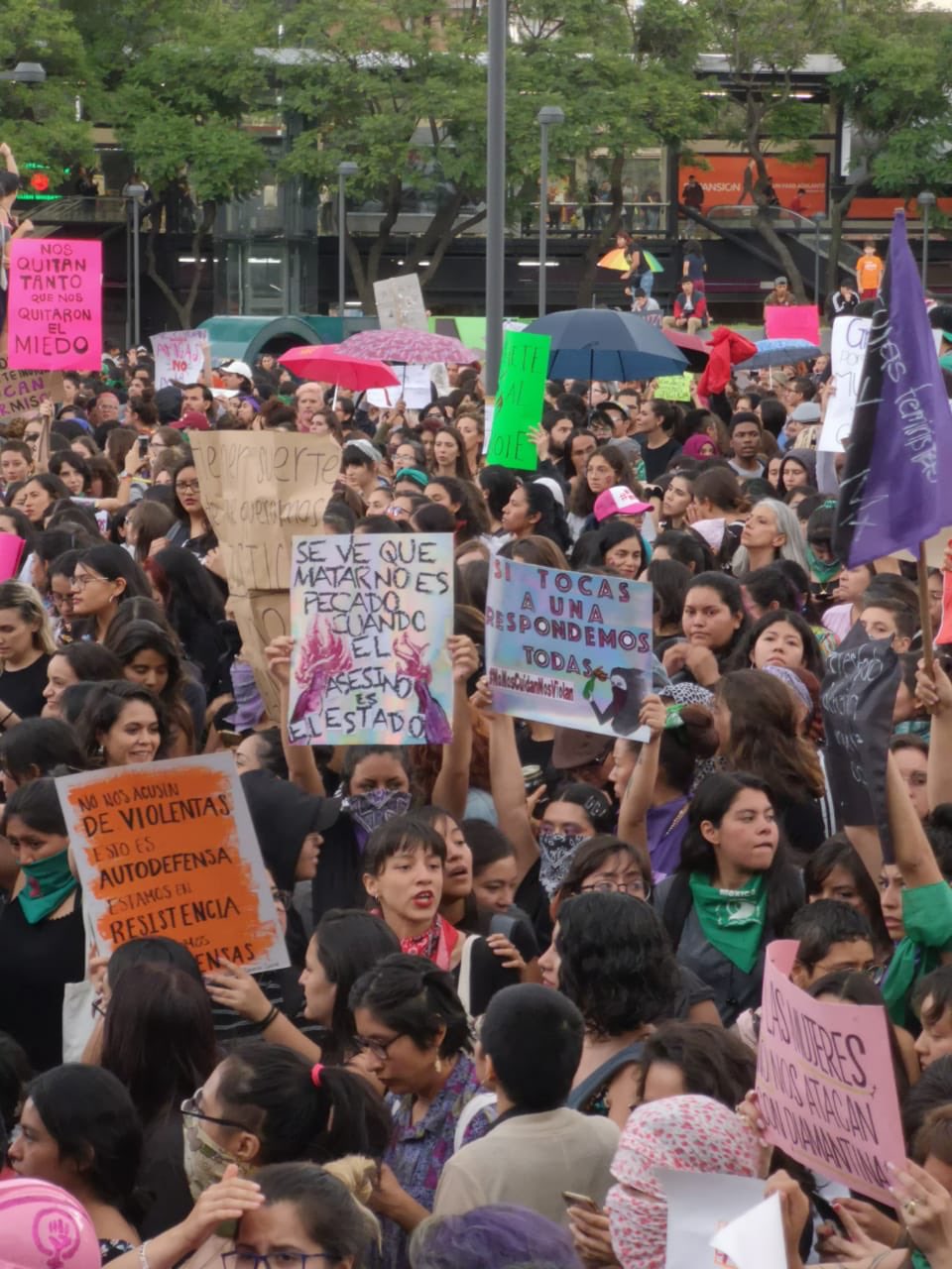 Las jóvenes: aportes y revolución